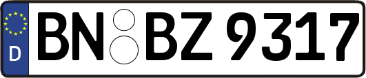 BN-BZ9317