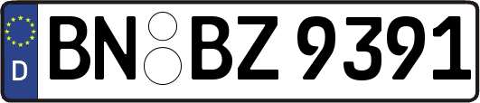BN-BZ9391