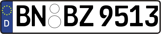 BN-BZ9513