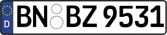 BN-BZ9531