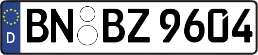 BN-BZ9604