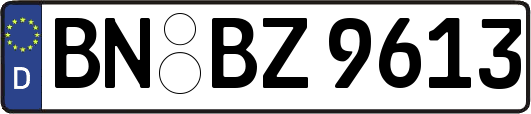 BN-BZ9613