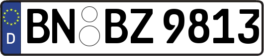 BN-BZ9813