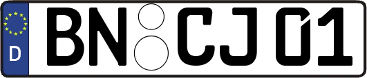 BN-CJ01