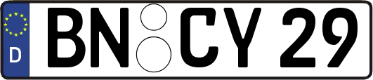 BN-CY29