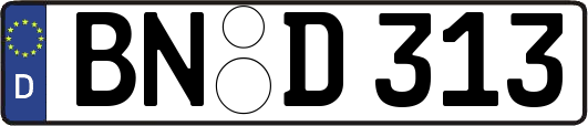 BN-D313