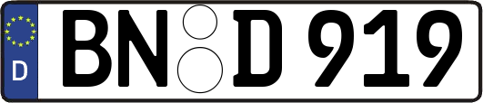 BN-D919