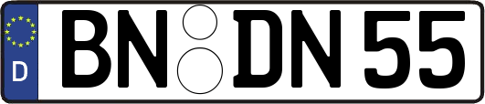BN-DN55