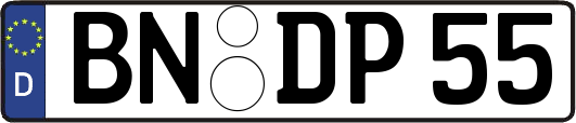 BN-DP55