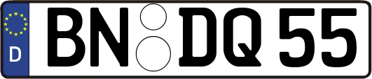 BN-DQ55