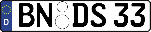 BN-DS33