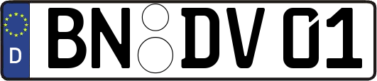 BN-DV01