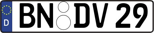 BN-DV29