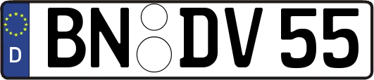BN-DV55