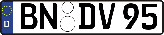 BN-DV95