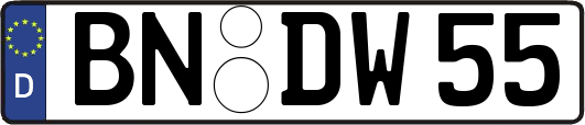 BN-DW55