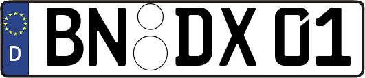 BN-DX01