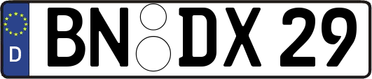 BN-DX29