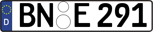BN-E291