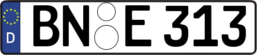 BN-E313