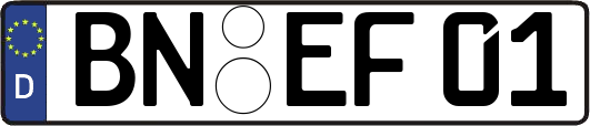 BN-EF01