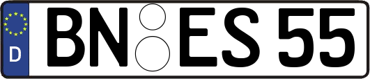 BN-ES55