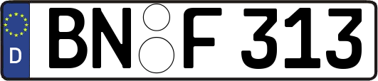 BN-F313
