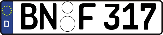 BN-F317