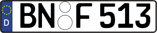 BN-F513