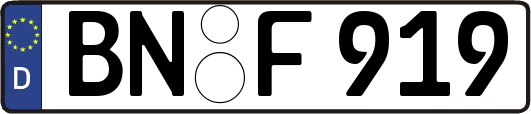 BN-F919