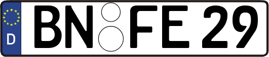 BN-FE29
