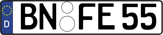 BN-FE55