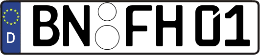 BN-FH01