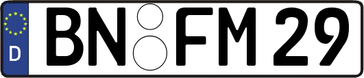 BN-FM29