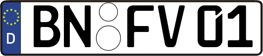 BN-FV01