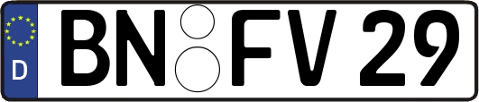 BN-FV29