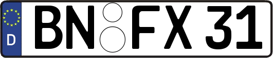 BN-FX31