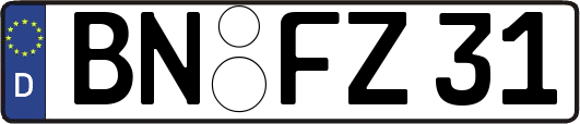 BN-FZ31
