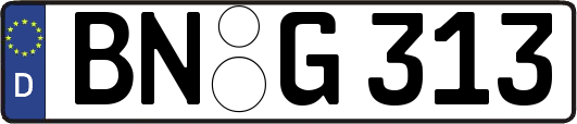 BN-G313