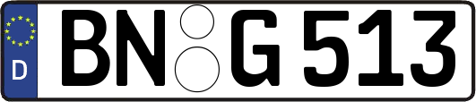 BN-G513