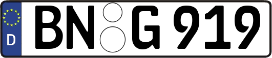 BN-G919
