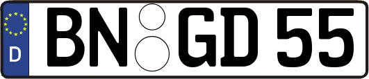 BN-GD55