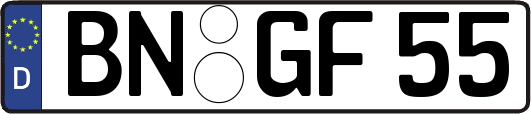 BN-GF55