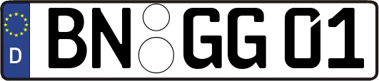 BN-GG01