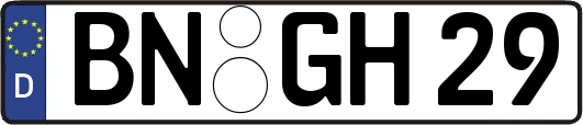 BN-GH29