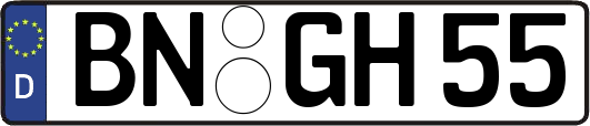 BN-GH55