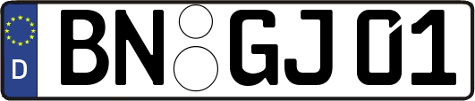 BN-GJ01