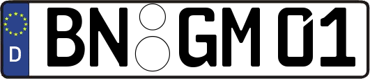 BN-GM01