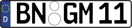 BN-GM11