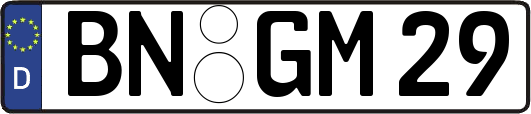 BN-GM29